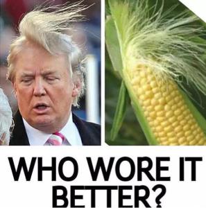 Trump Hair Meme